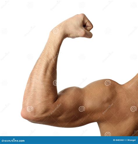 Muscle Flex